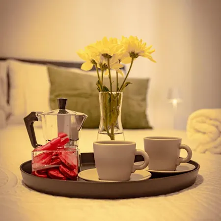 Eleganza E Comfort A Torino-appartamento Gabriele * Turin