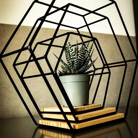 Eleganza E Comfort A Torino-appartamento Gabriele Apartamento *